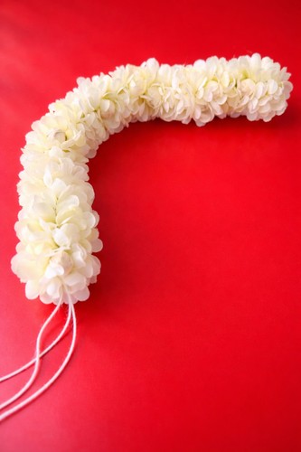 Jasmine gajra beli - ,