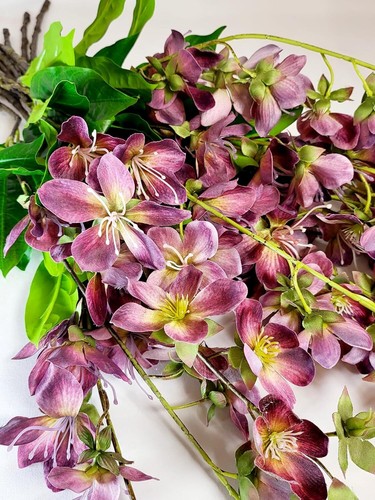 Jasmine flower branch - jasmine,